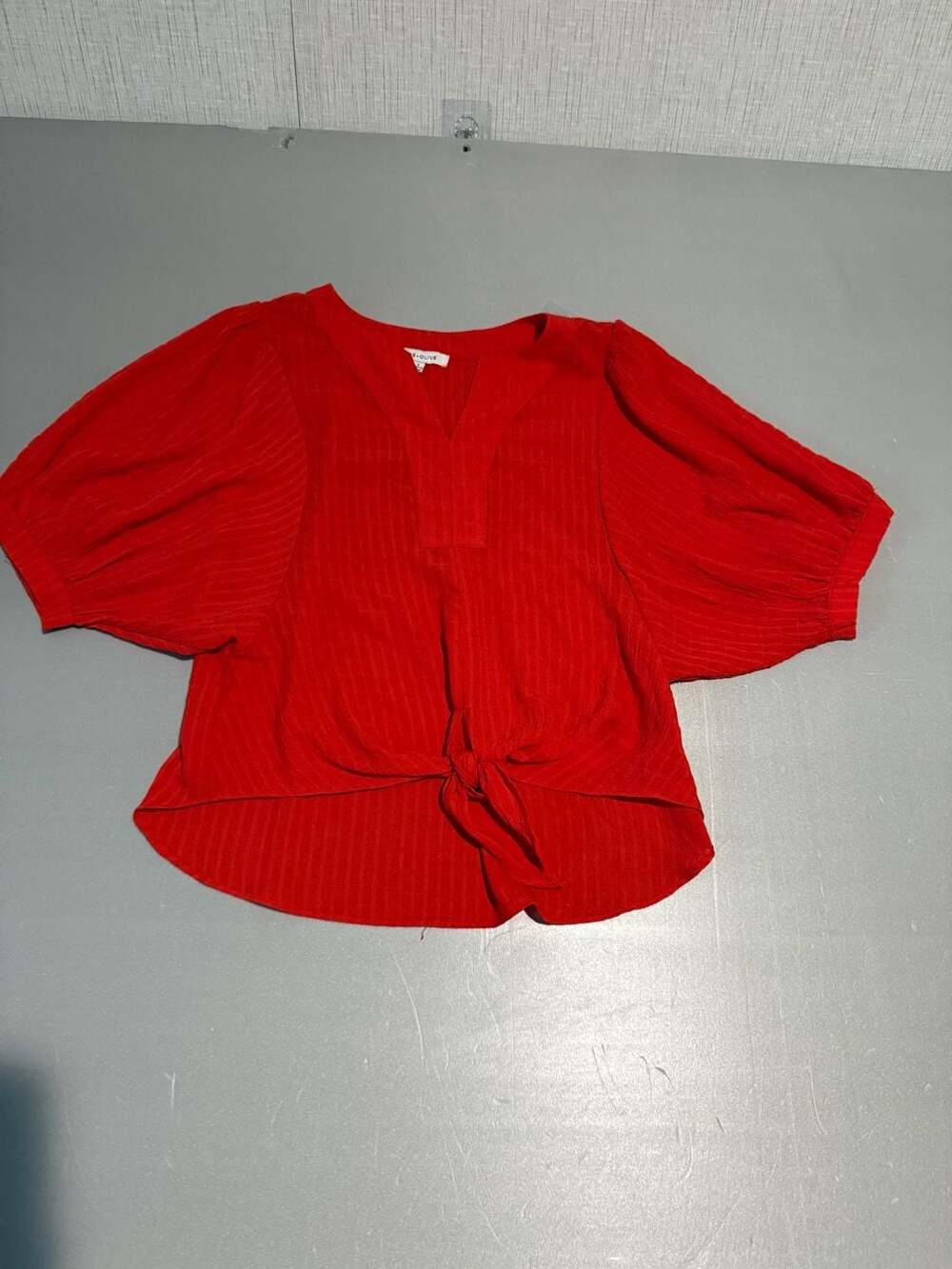 Rose + Olive Blouse Size S Red Textured Top